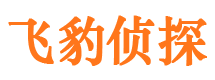 噶尔侦探公司